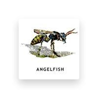 Angelfish