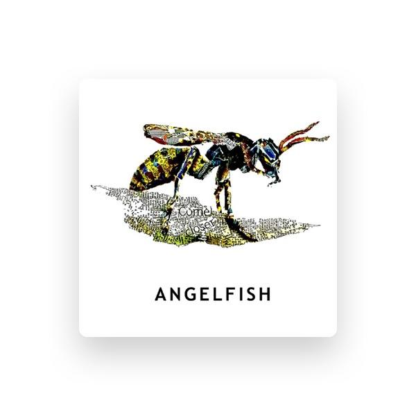 Angelfish