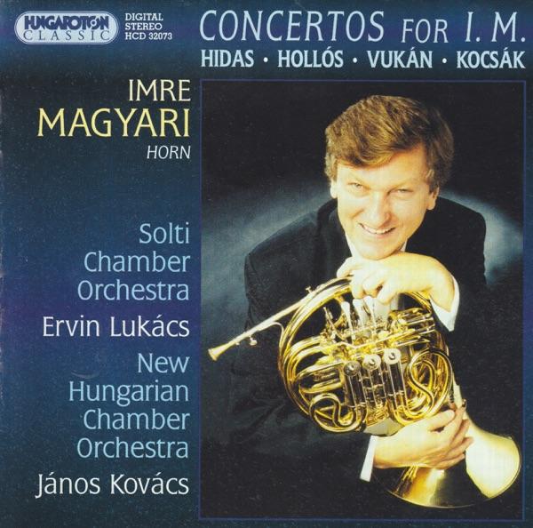 Horn Concerto II. Allegretto
