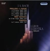 Partita in C Minor, BWV 767: IX.