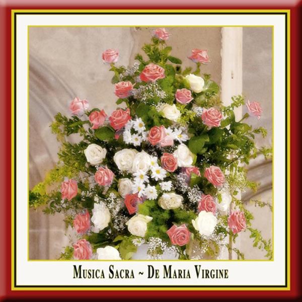 Cantate Domino canticum novum, BuxWV 12