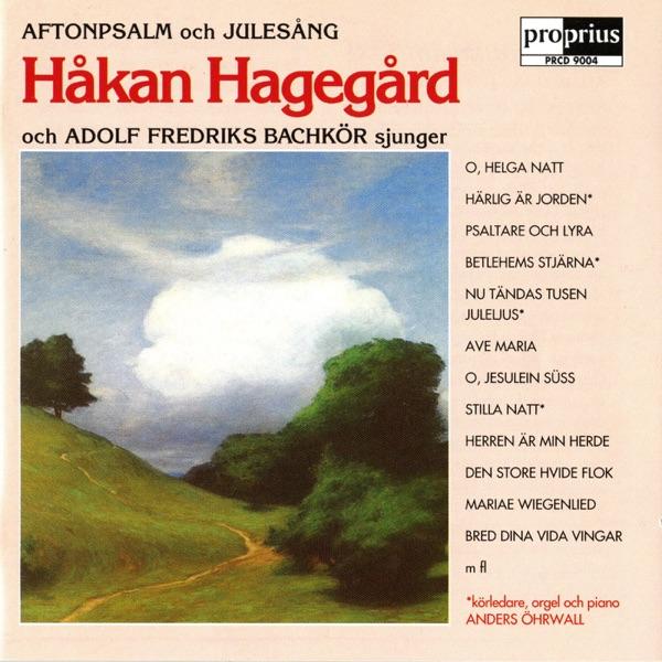 Schlichte Weisen, Op. 76 (Traditional lyricist): Mariae Wiegenlied
