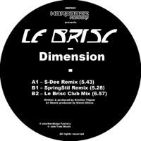 Dimension (Springstil Remix)