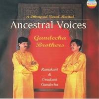 Raga Charukeshi: Dhrupad Sooltal / Bandish Jini Jini