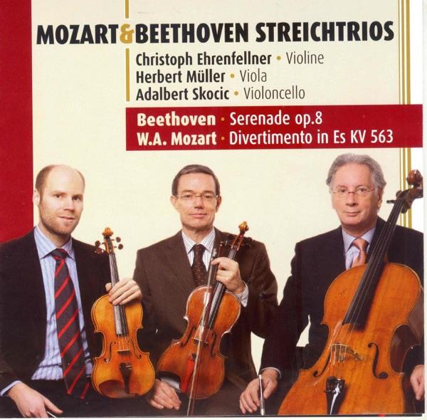 Serenade op. 8: Marcia-Allegro 2