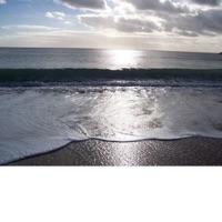 Winter Waves