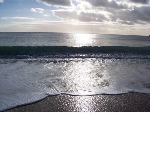 Winter Waves