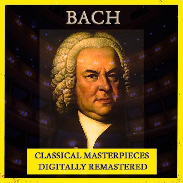 Violin Concerto, No. 2 in E Major, BWV 1042: II. Adagio