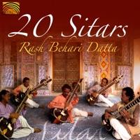 Raga Malkouns: Alaap