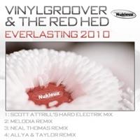 Everlasting (Scott Attrill's Hard Electrik Radio Edit)