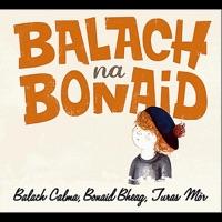 Ceilidh! (feat. Signy Jakobsdottir, Seumas Ros, Friseal Fifield, Corrina Hewat, Patsi Reid, Aonghas Lyon & Niall Maciain)