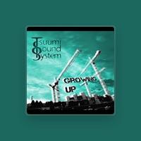Tsuumi Sound System