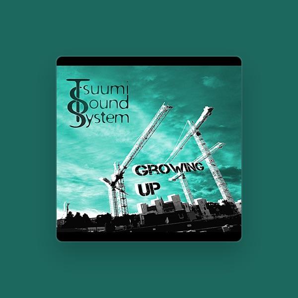 Tsuumi Sound System