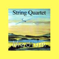 String Quartet No. 2 in F Major Op. 22: II. Scherzo