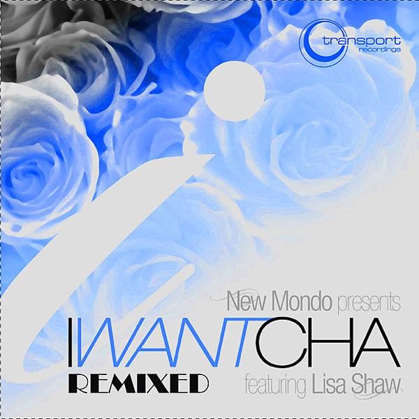 I Want Cha (feat. Lisa Shaw) [Vincent Kwok Tech Mix]