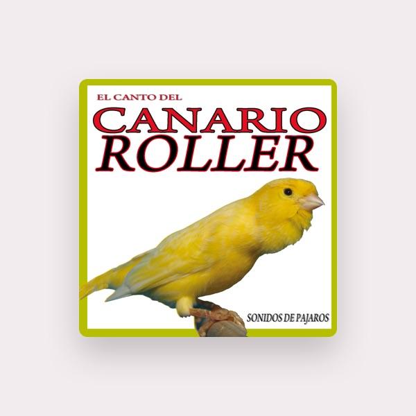Sound and Birds Song