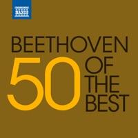 10 Variations On the Duet La stessa, le stessissima from Salieri's Falstaff in B-Flat Major, WoO 73