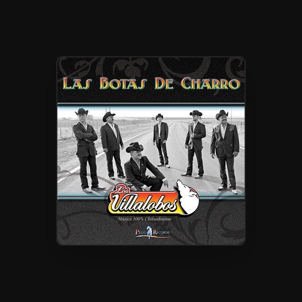 Los Villalobos