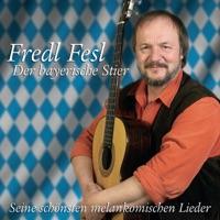 Ein Pferd hat vier Beiner (Live)
