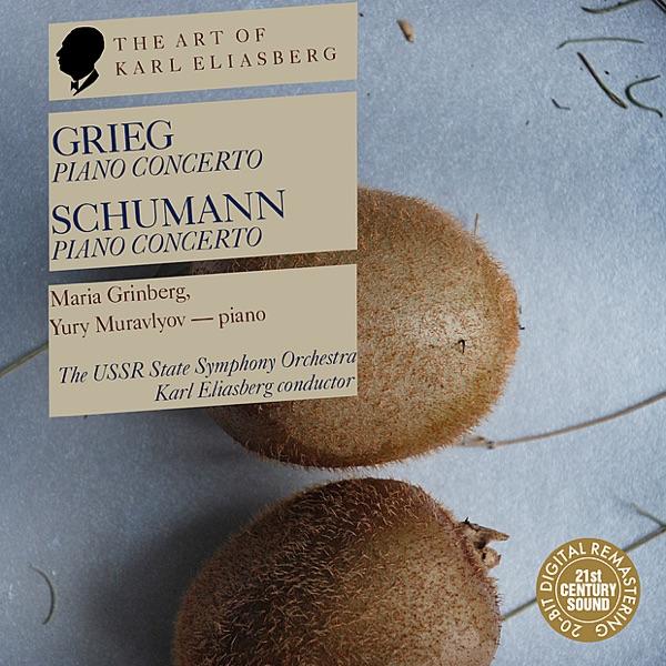 Piano Concerto In A Minor, Op. 16: I. Allegro Moderato