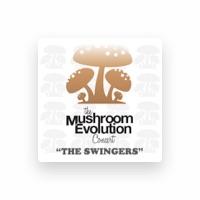 The Swingers