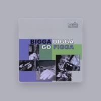 Bigga Digga