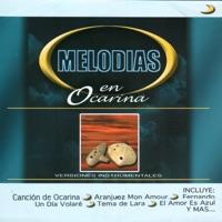 Ave Del Paraiso (Paradise Bird)