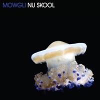 Nu Skool