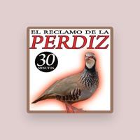 Sonido y Cantos de Pajaros