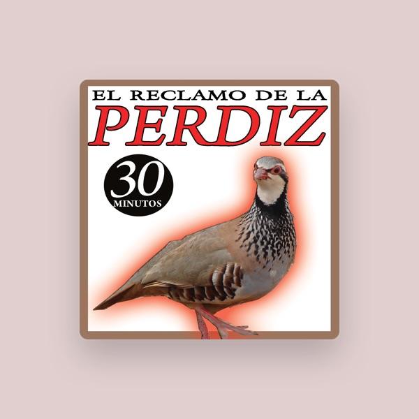 Sonido y Cantos de Pajaros
