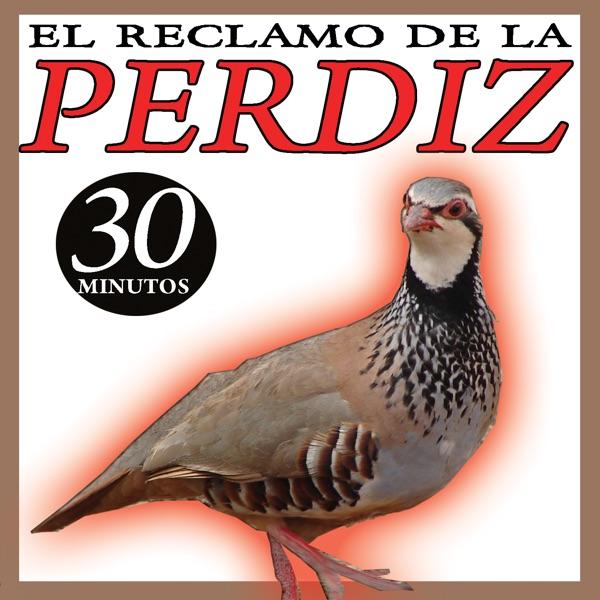 Reclamo de La Perdiz Cantos de Pájaros