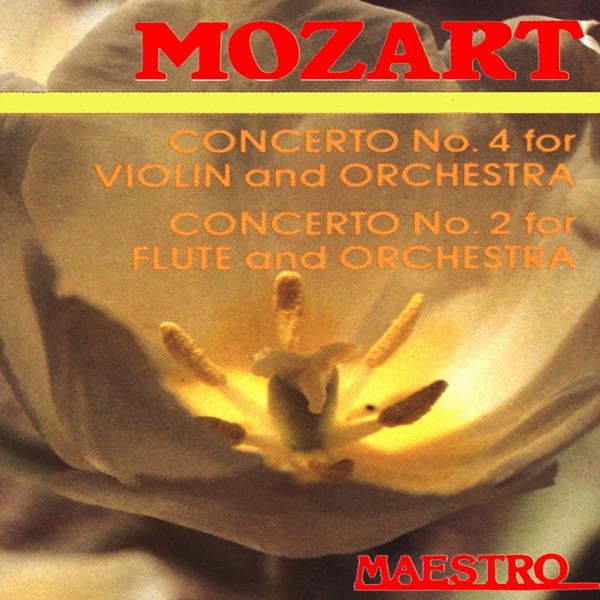 Concerto No.4 In D Major for Violin and Orchestra, K.218, II. Andante Cantabile