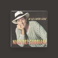 Nico dei Gabbiani