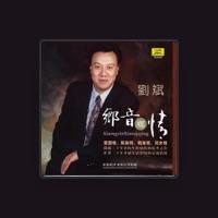 Liu Bin