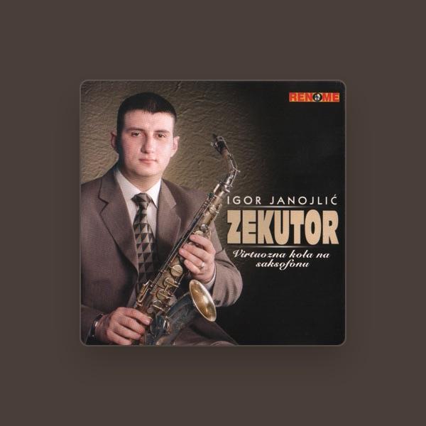 Igor Janojlic - Zekutor