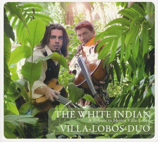 7244 Villa-Lobos = 1991 PQ1