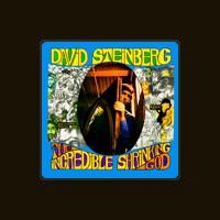 David Steinberg