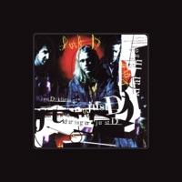 Just D och Clawfinger