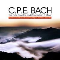 Sonata In C Major for Flute and B.C, Wq. 87: III. Allegro