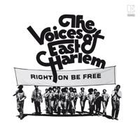 Simple Song of Freedom