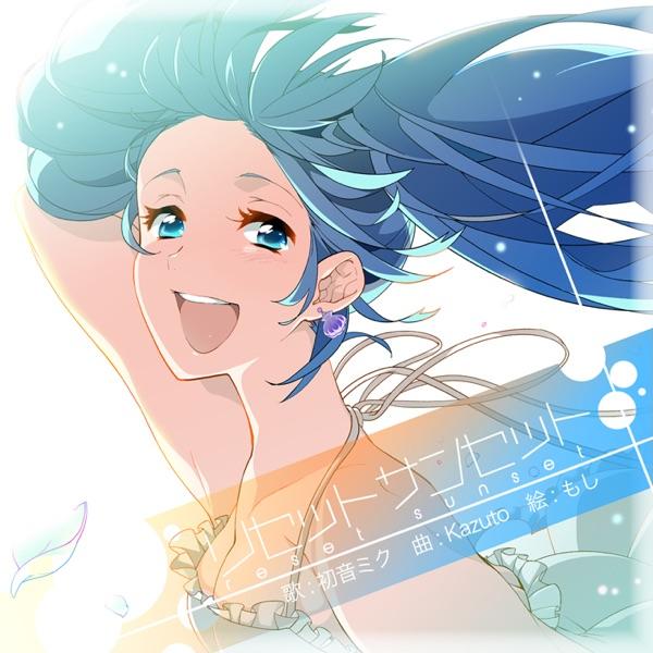 リセットサンセット (instrument)