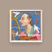 Guilherme De Brito E Trio Madeira Brasil