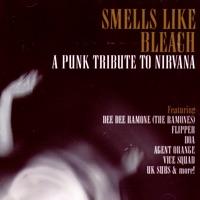 Smells Like Teen Spirit