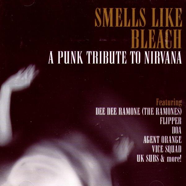 Smells Like Teen Spirit