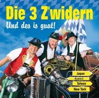 Party Stimmungs-Medley (Amarillo - Ein Stern Der Deinen Namen Trägt - Das Rote Pferd - So A Schöner Tag - Cowboy Und Indianer - Joana - Da Simmer Dabei, Dat Is Prima (Viva Colonia))