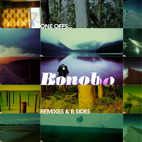 Tell Me How You Feel (Bonobo Mix)