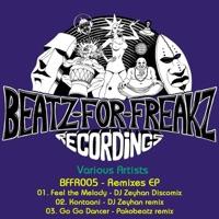 Feel the Melody - DJ Zeyhan Discomix