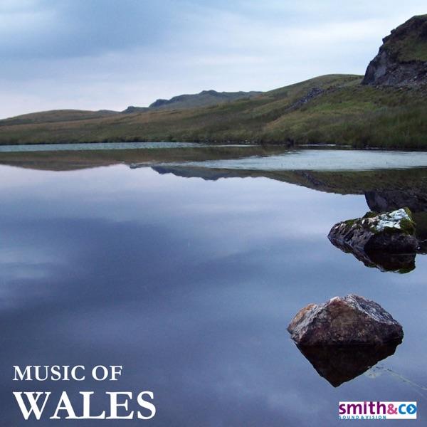 Welsh Medley: Men of Harlech+Sospan Fach+All Through the Night
