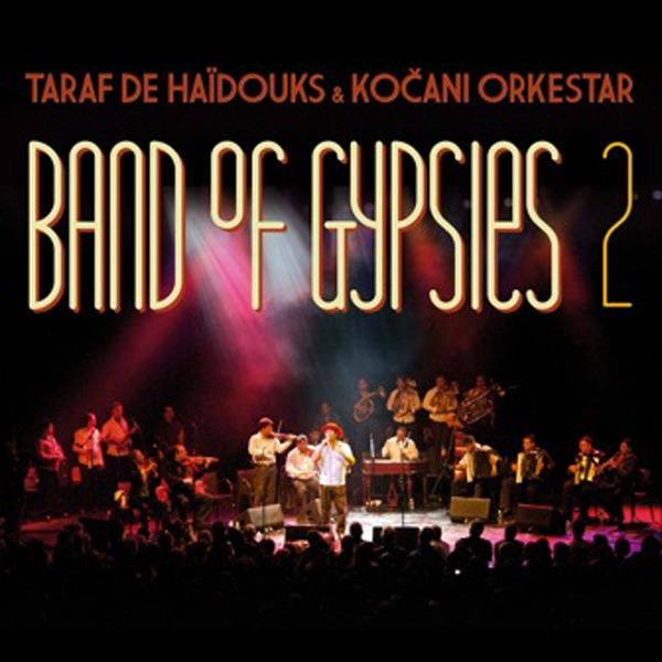 I Am a Gigolo