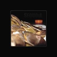 Sequoia